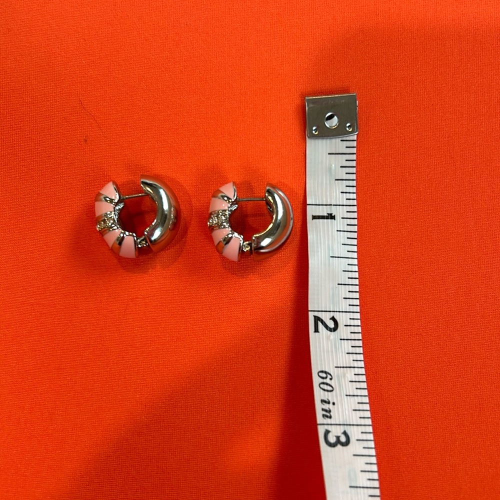 Tiny Earrings - image 1